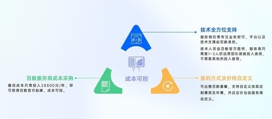 百数服务商模式——低代码创业者的低成本选择与技术推广之道