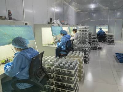 技术推广服务 推动创新落地与产业升级